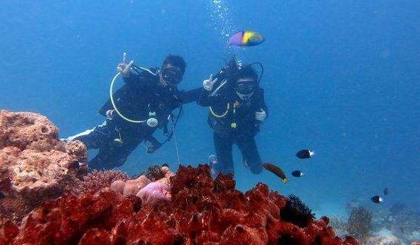 救援海盗章鱼