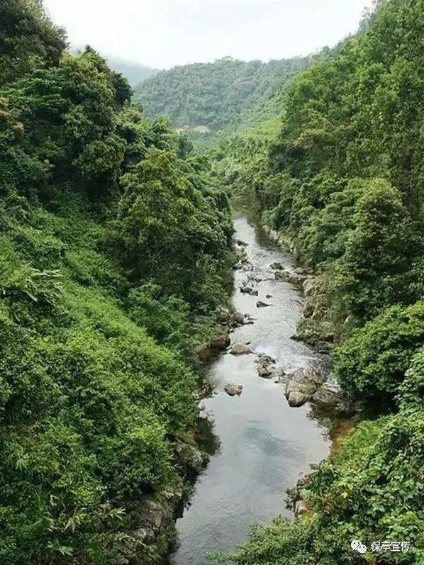 遗憾词语接龙游戏画面