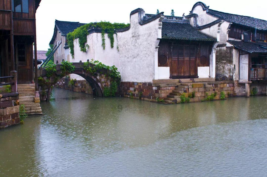 奇妙恐龙世界